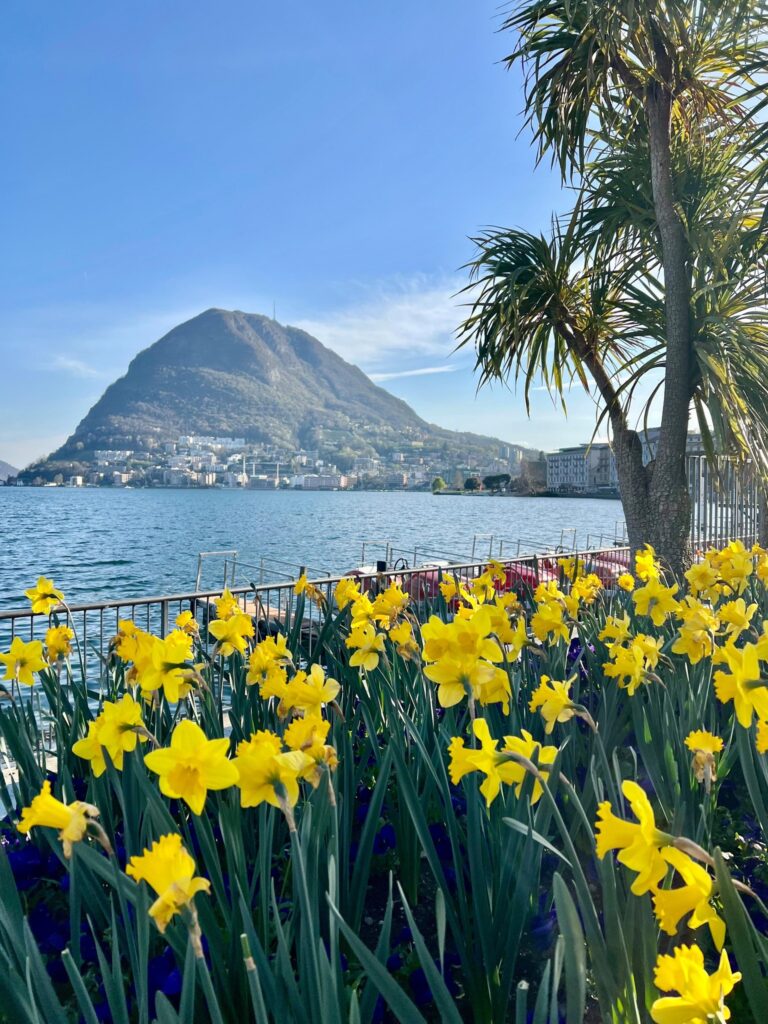 ASyh44yQqM9BhOppZO1vHY